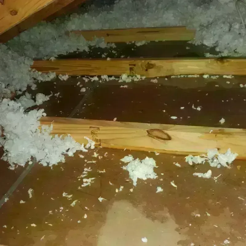 Attic Water Damage in Oak Hills, CA